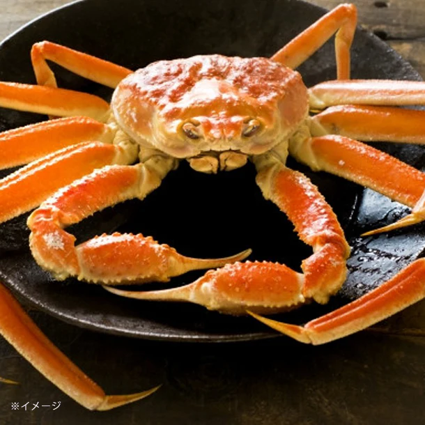 「Kuradshi10周年限定 肉&海鮮福袋 計10品」 - Image 22