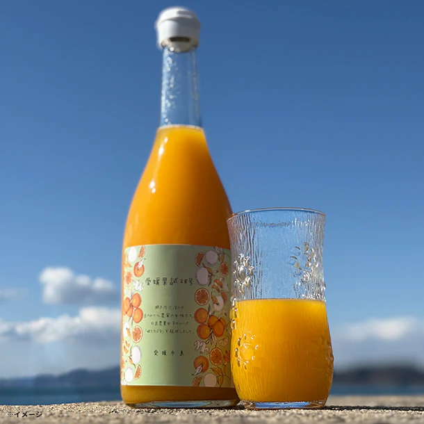 愛媛県産「愛媛果試28号(紅マドンナ)のみを絞ったみかんジュース」720ml×2本【クラチャレふるさとだより】