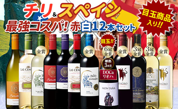 「コスパ抜群！金賞受賞含むチリスペインワインセット」750ml×12本