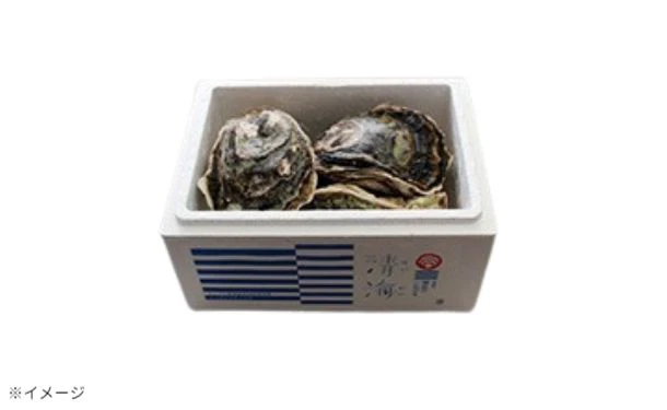 「隠岐のいわがき 清海 Sサイズ」6個セット【クラチャレふるさとだより】 - Image 3