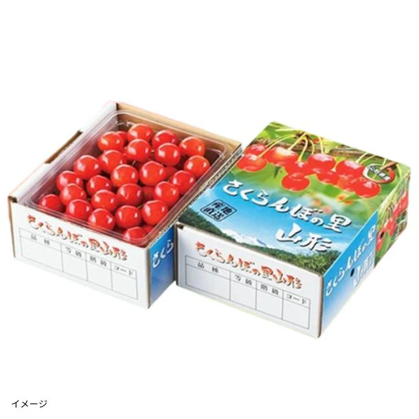 山形県産「さくらんぼ佐藤錦 秀品 M玉 バラ詰め」約500g