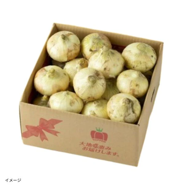 熊本県産「塩たまねぎ とろたま」4kg(20玉前後)
