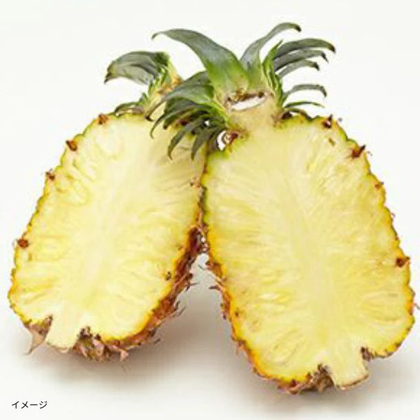 石垣島産「島パイン・ハワイ種(2~4玉)」約2.8kg【クラチャレふるさとだより】 - Image 3