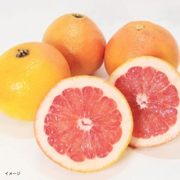 「豊洲市場発 ピンクグレープフルーツ」2.5kg