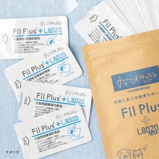 「Fil Plus＋L8020 通常サイズ」30枚入