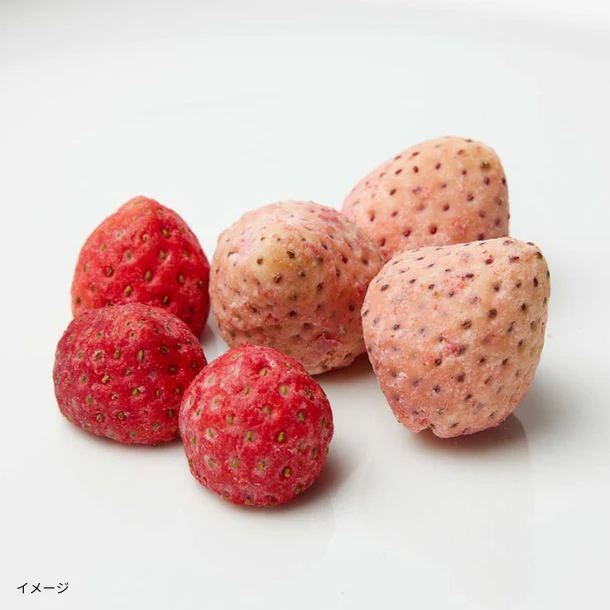 DEAN ＆ DELUCA「ソークドフルーツチョコレート 淡雪＆すずあかね」 - Image 3