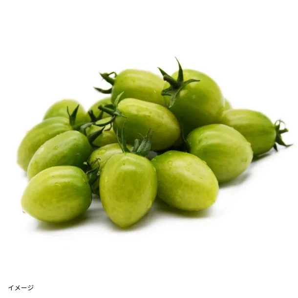 千葉県木更津産「無農薬・化学肥料不使用 ブランドトマト サリーナエメラルド」1kg