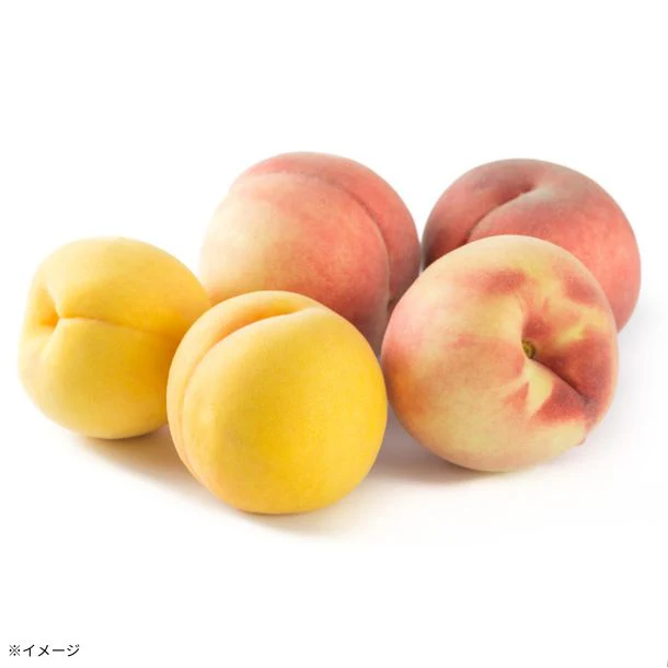 長野県産「北信州 黄金桃」3kg