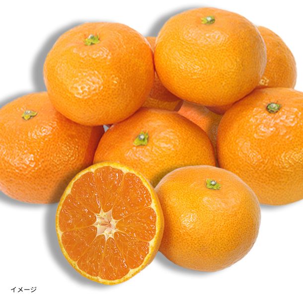 愛媛県産「訳あり 小玉みかん」5kg