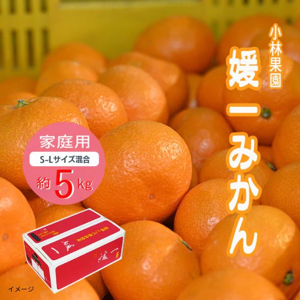 愛媛県産「媛一みかん 家庭用 S~Lサイズ混合」約5kg - Image 2