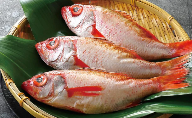 「焼き・煮付け用 のどくろ（姿）」4尾（SL-441） - Image 3