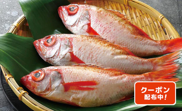 「焼き・煮付け用 のどくろ（姿）」3尾（SW-629）