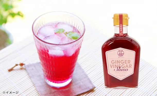 鳥取県産「GINGER SYRUP＆GINGER VINEGAR Shiso」200ml×3本セット - Image 2