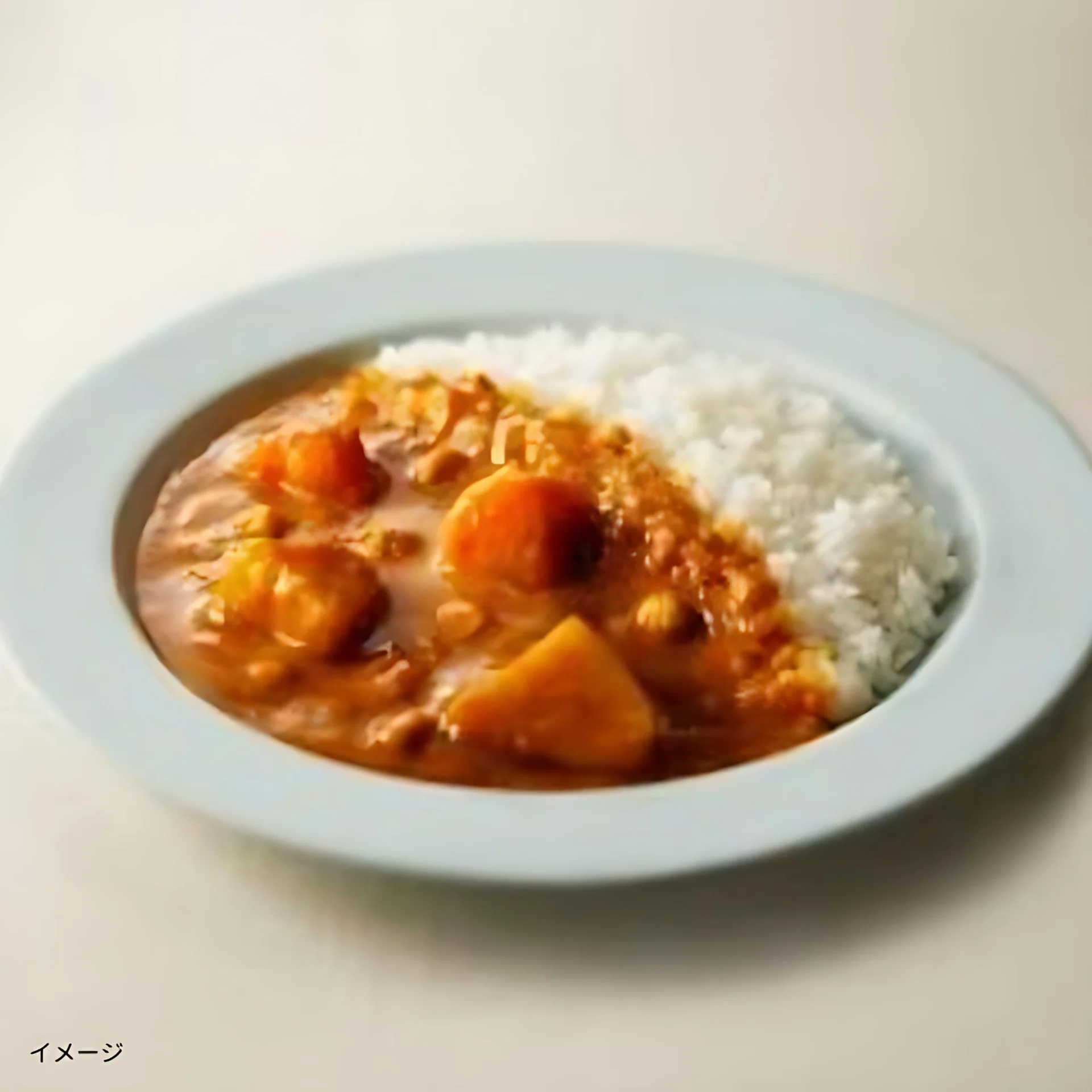 NISHIKIYA KITCHEN「野菜ゴロゴロカレー」180g