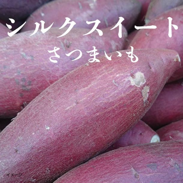 千葉県産「シルクスイート」4kg - Image 2