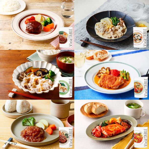 Vivid TABLE「国産食材の彩り冷凍宅食(6種)」計12食