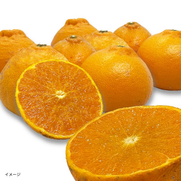 愛媛県産「訳あり せとか」5kg