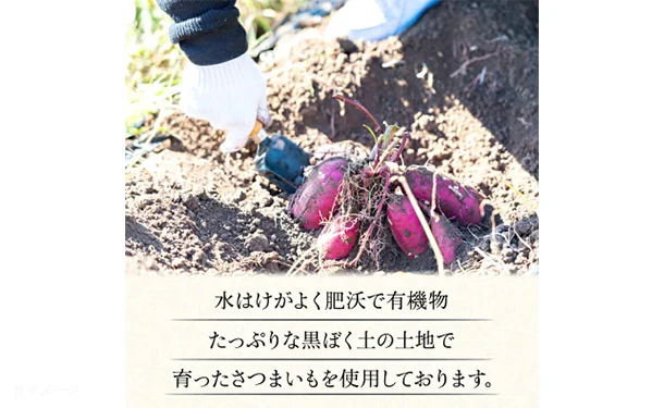 【初回限定】茨城県産「訳あり 干し芋」500g - Image 5
