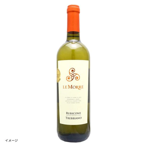 イタリア産 白「レ・モッレ トレッピアーノ 2024」750ml