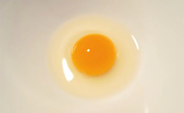 静岡県産「命のカプセル うずらの卵」10個 - Image 2