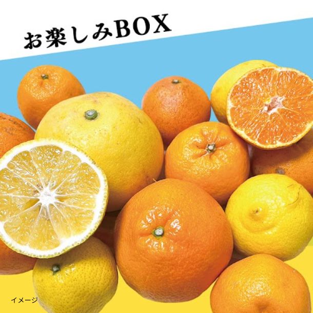 愛媛県産「媛一 お楽しみボックス 家庭用」4kg - Image 2