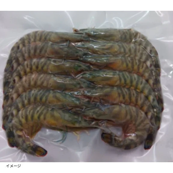 鹿児島県産「養殖 活き〆冷凍車海老 バラ10尾」約300g - Image 2