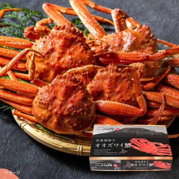 北海道噴火湾産「ボイルオオズワイガニ 継ぎ足し有（3-6尾）」1.5kg