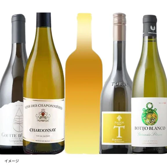 【初回限定】「ブルゴーニュが必ず入る！中身がわかる白ワイン福袋」750ml
