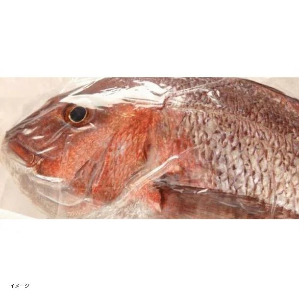 「鯛 カマ 真空個包装」1.2kg