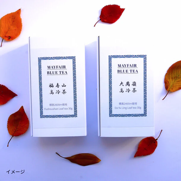 MAYFAIR BLUE TEA「福寿山高冷茶 リーフティー」30g - Image 2