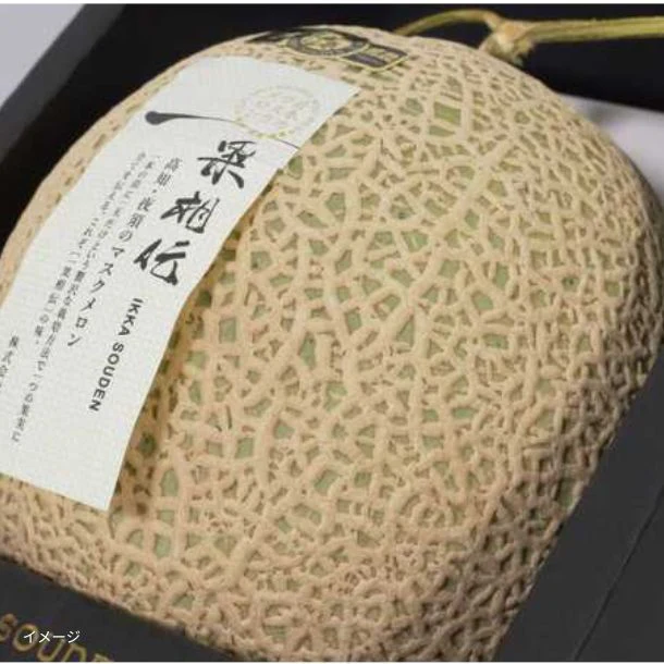 高知県産「一果相伝マスクメロン」1玉