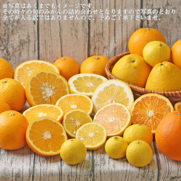 愛媛県産「柑橘 初夏セット 家庭用・サイズMIX」4kg - Image 2