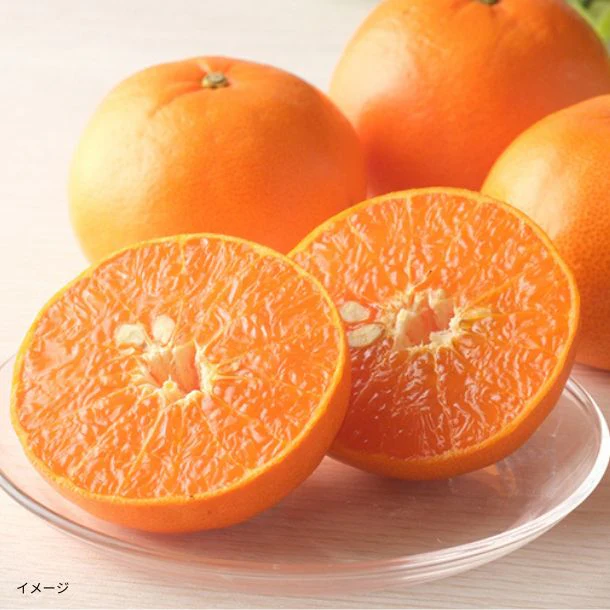愛媛県産「訳あり せとか」2kg