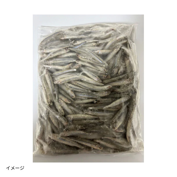 「トウゴロウイワシ」1kg - Image 4