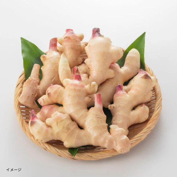 「新生姜シロップ」200ml - Image 6