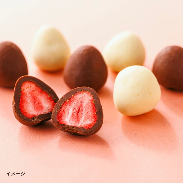 「2026バレンタイン まるごと苺チョコ」40g