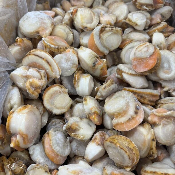 北海道噴火湾産「訳ありボイル帆立（加熱用）」1kg - Image 2