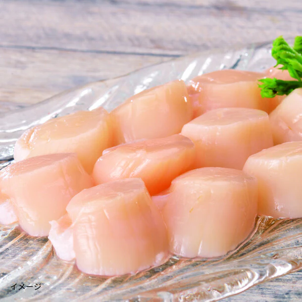 オホーツク産「訳あり帆立(生食用)」500g - Image 2