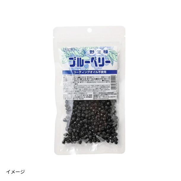 東洋ナッツ「野生種ブルーベリー」110g