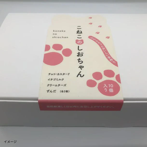「こねこのしおちゃん」10個入り - Image 5
