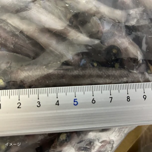 「メヒカリ頭付き」1kg - Image 2