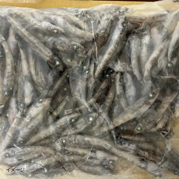 「メヒカリ頭付き」1kg - Image 3