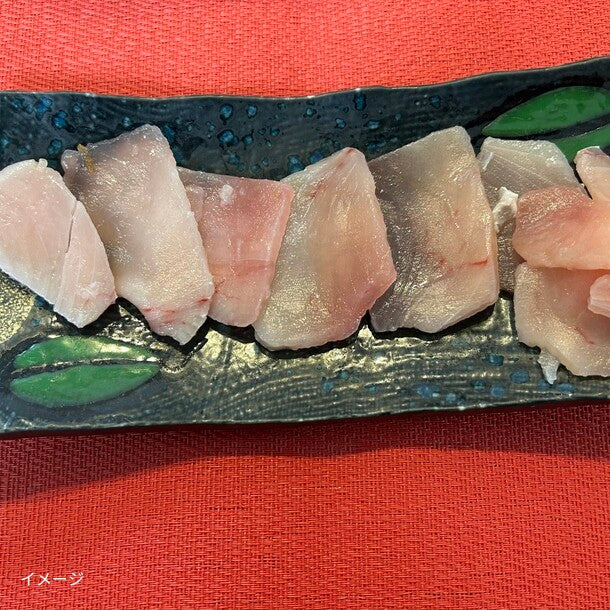 台湾産「マグロ切り落とし（トロビンチョウ）」500g - Image 2