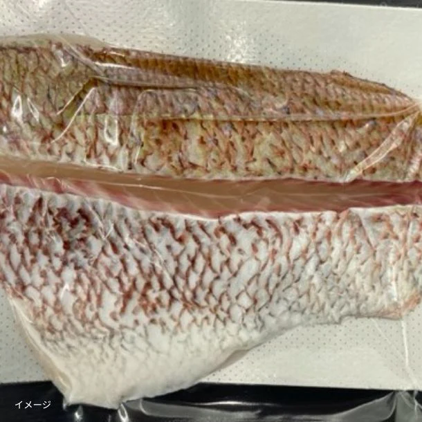 高知県産「真鯛2節背・腹セット(骨なし・皮付き)」600g - Image 2