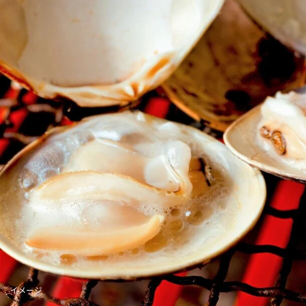 千葉県産「活はまぐり（砂ぬき済）」2kg - Image 3