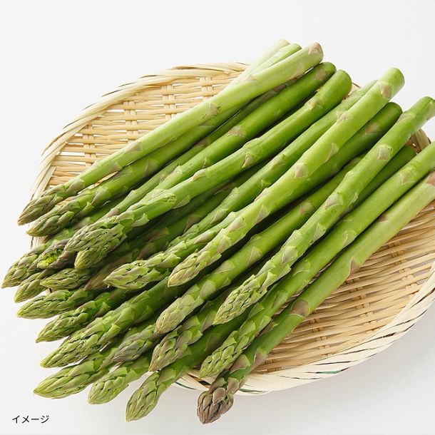 北海道産「グリーンアスパラ」400g - Image 2